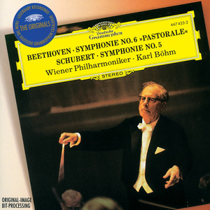 Symphony No. 6 in F Major, Op. 68 "Pastoral" - IV. Gewitter. Sturm. Allegro (F Minor) (F大调第6号交响曲，作品68“田园” - 第四乐章 暴风雨 - 快板)