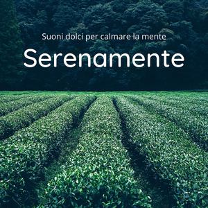 Serenamente: Suoni dolci per calmare la mente