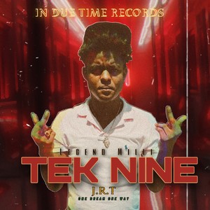 Tek Nine