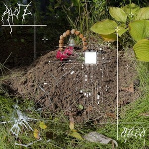 charcoal (feat. pararainy) (Explicit)