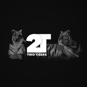 Two Tigers