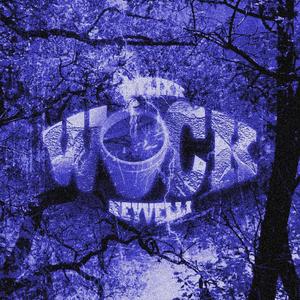 Wock (feat. heyvelli) (Explicit)