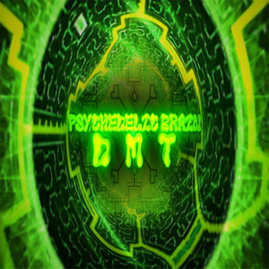 Dmt (Radio Edit)