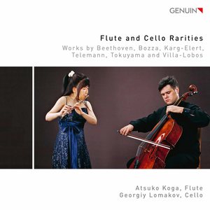 30 Studies for Flute Solo, Op. 107 - No. 30, Chaconne