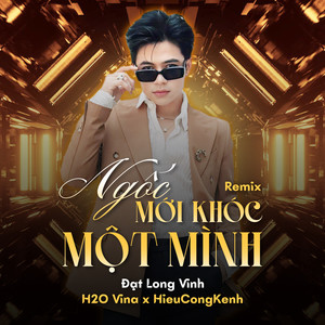 Ngốc Mới Khóc Một Mình (Remix)