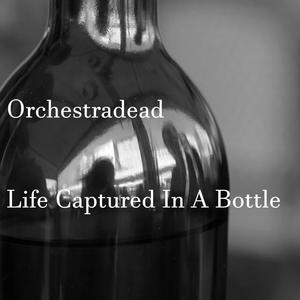 Life Captured In A Bottle