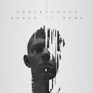 Shake It Down