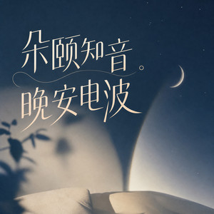 过年的味道 (DJ长音频) - 朵颐封面