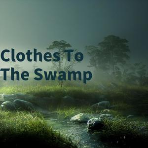 Clothes To The Swamp