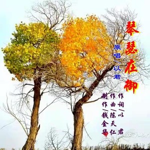 以君 - 鹊桥仙 ·琴瑟在御 (伴奏)