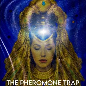 The Pheromone Trap (Explicit)