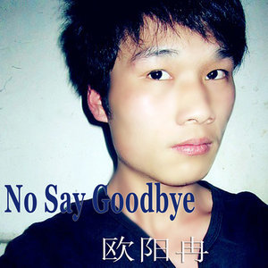 No Say Goodbye