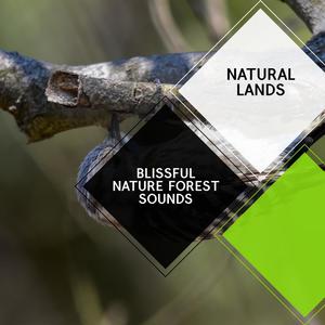 Blissful Nature Forest Sounds - Natural Lands