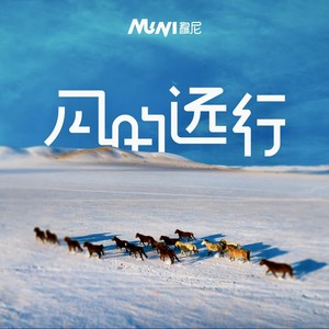 风的远行