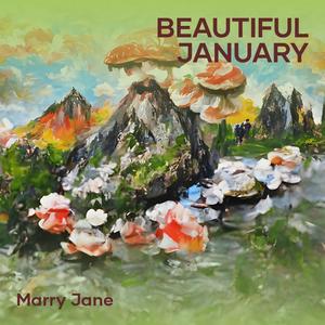 Beautiful January