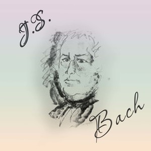 Organ Sonata No. 3 in D Minor, BWV 527 - I. Andante