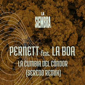 La Cumbia del Cóndor (Sereno Remix)