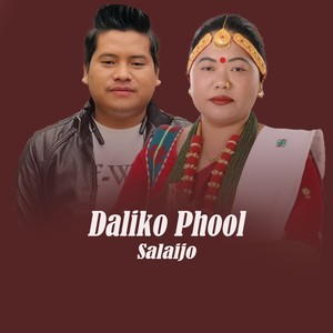 Daliko phool salaijo (Live)