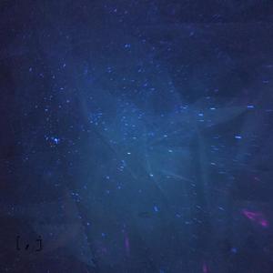 Leucoraja Erinacea, The Little Skate