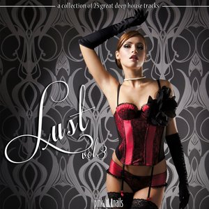 Lust Vol. 3 (A Collection of 25 Great Deep House Tracks)