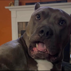 OMM THO (feat. Fastmoneytez & Mbgobrazy) (Explicit)