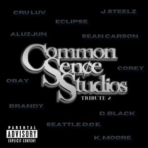 Over Heated (feat. Aluzjun & D. Black) (Explicit)