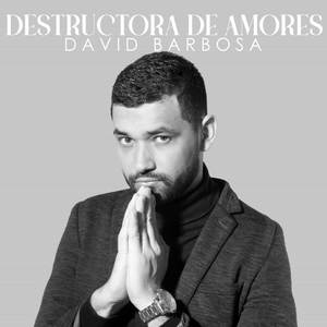 Destructora De Amores