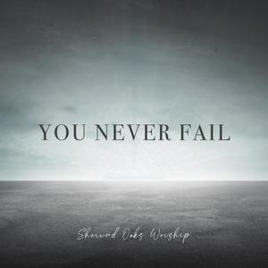 You Never Fail (feat. Quentin Bemis & Heather Richardson)