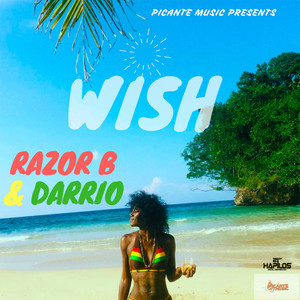 Razor B - Wish