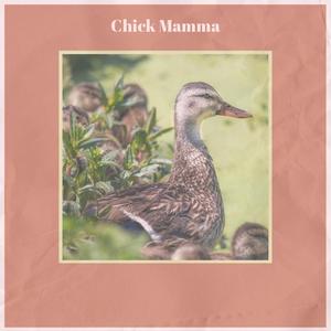 Chick Mamma