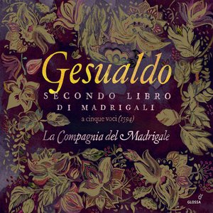 Madrigals, Libro 2 - No. 3, Se per lieve ferita
