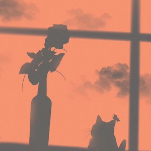 昆明到上海的思念