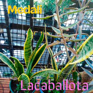 Lacaballota