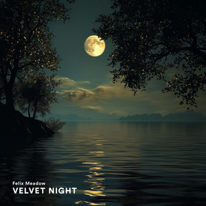 Velvet Night