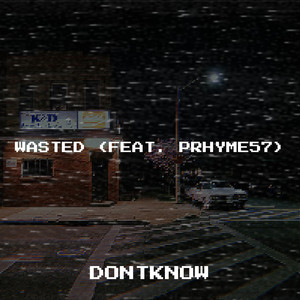 Wasted (Explicit)