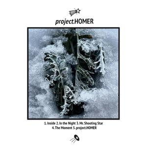 project.HOMER (Explicit)