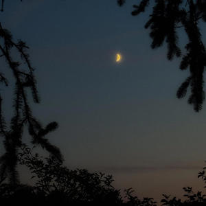 a moment between thoughts