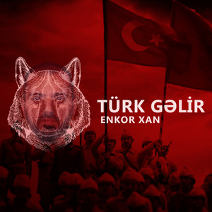 Türk Gəlir