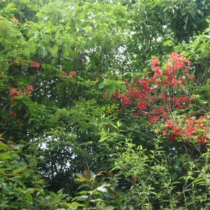 最好的人 最美的心