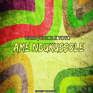 Ame ndukussole