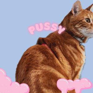 PUSSY (feat. ZeroTheGod) (Explicit)