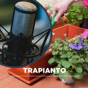 fapsul - Attaccare Una Mensola