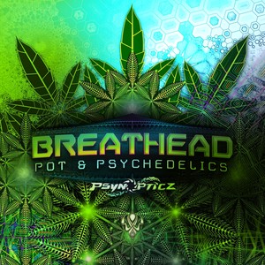 Pot & Psychedelics