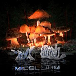MICELLIUM