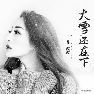 大雪还在下 (DJ何鹏版)