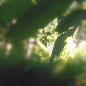 Emotional time(feat. Saidur Rahman)