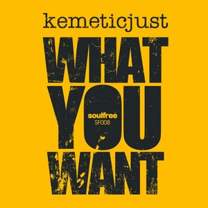 What You Want (Original Househead's Mix)