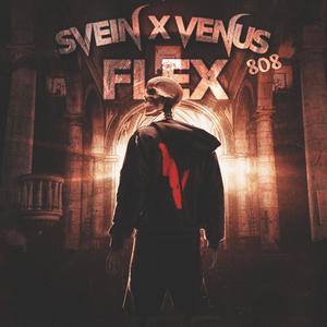 Flex FreeStyle (feat. Svein) [Explicit]