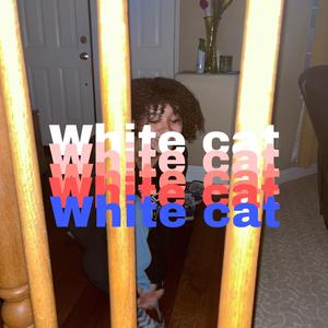 White Cat