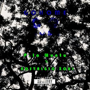 Go home(feat. Nostalgic Zoul) (Explicit)